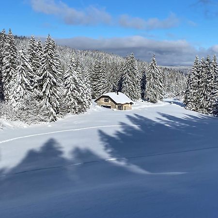 La Loge De La Dolarde - Chambre Nord-Est Otel Prémanon Dış mekan fotoğraf