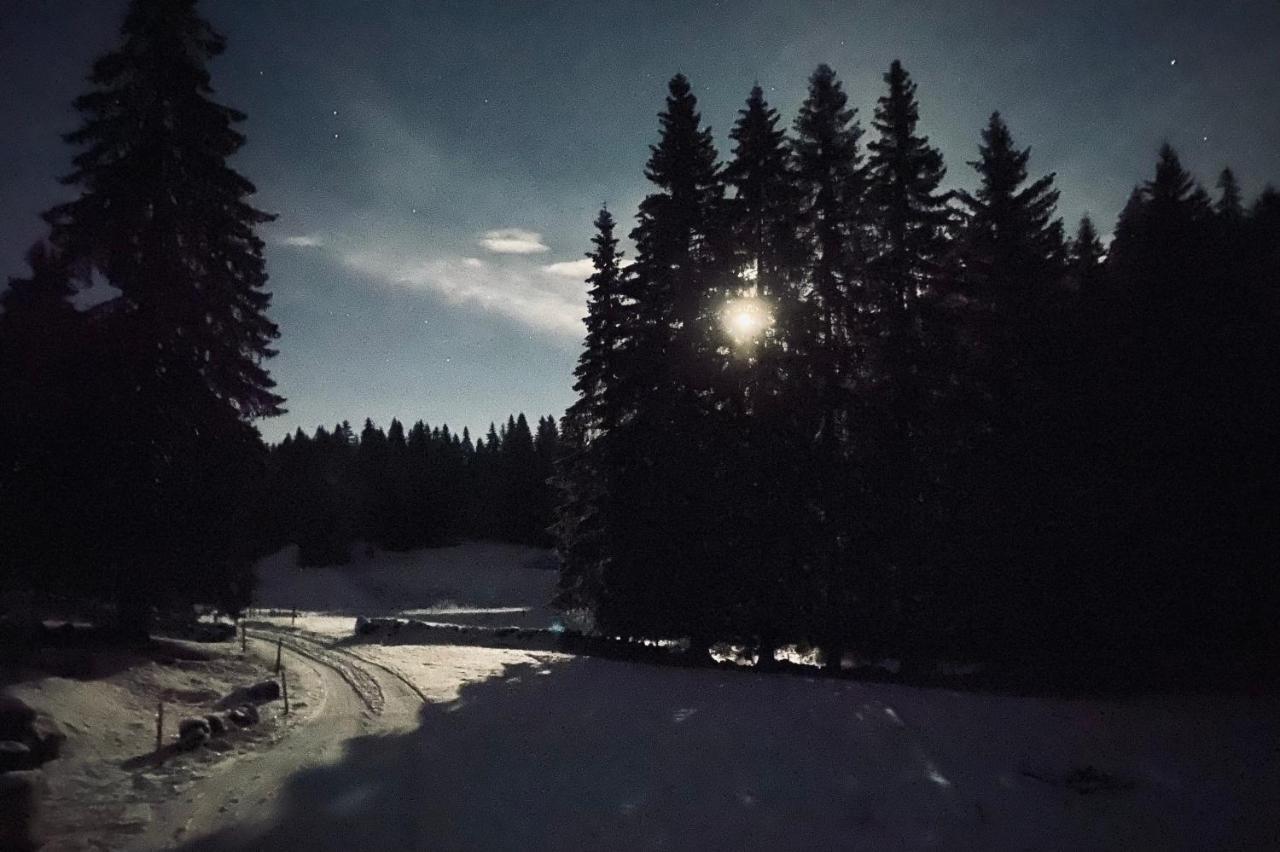 La Loge De La Dolarde - Chambre Nord-Est Otel Prémanon Dış mekan fotoğraf
