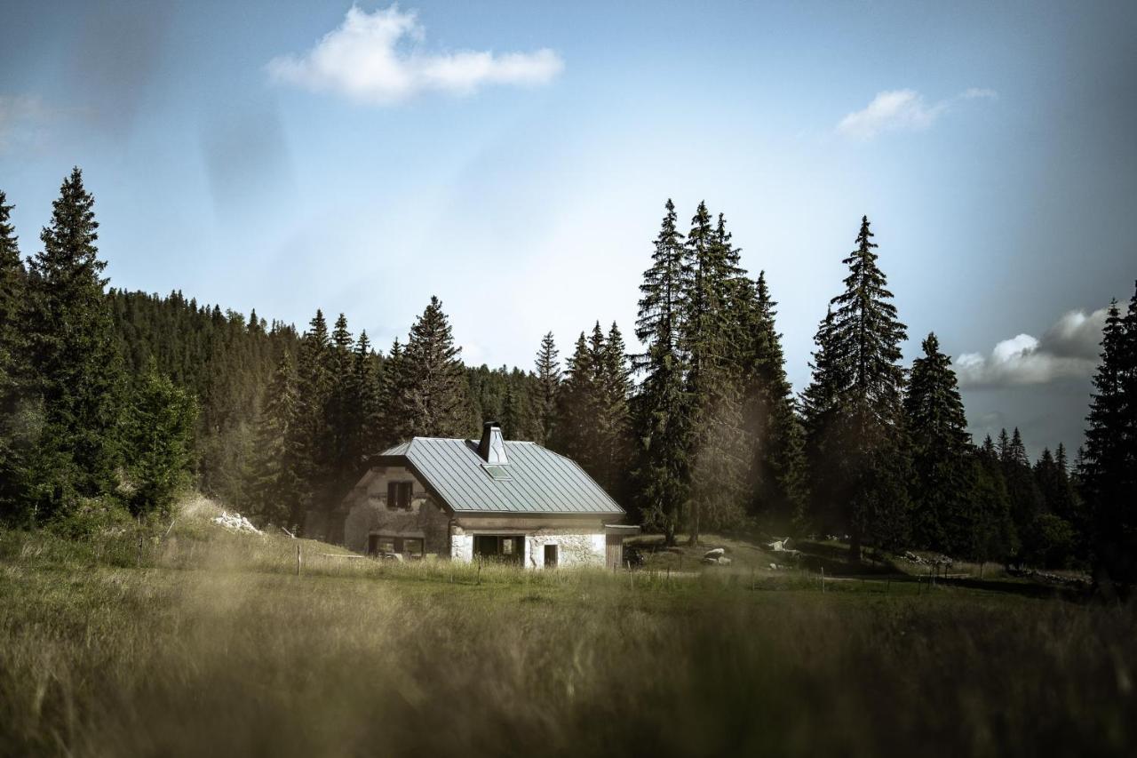 La Loge De La Dolarde - Chambre Nord-Est Otel Prémanon Dış mekan fotoğraf