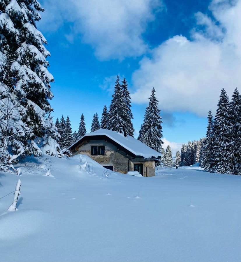 La Loge De La Dolarde - Chambre Nord-Est Otel Prémanon Dış mekan fotoğraf