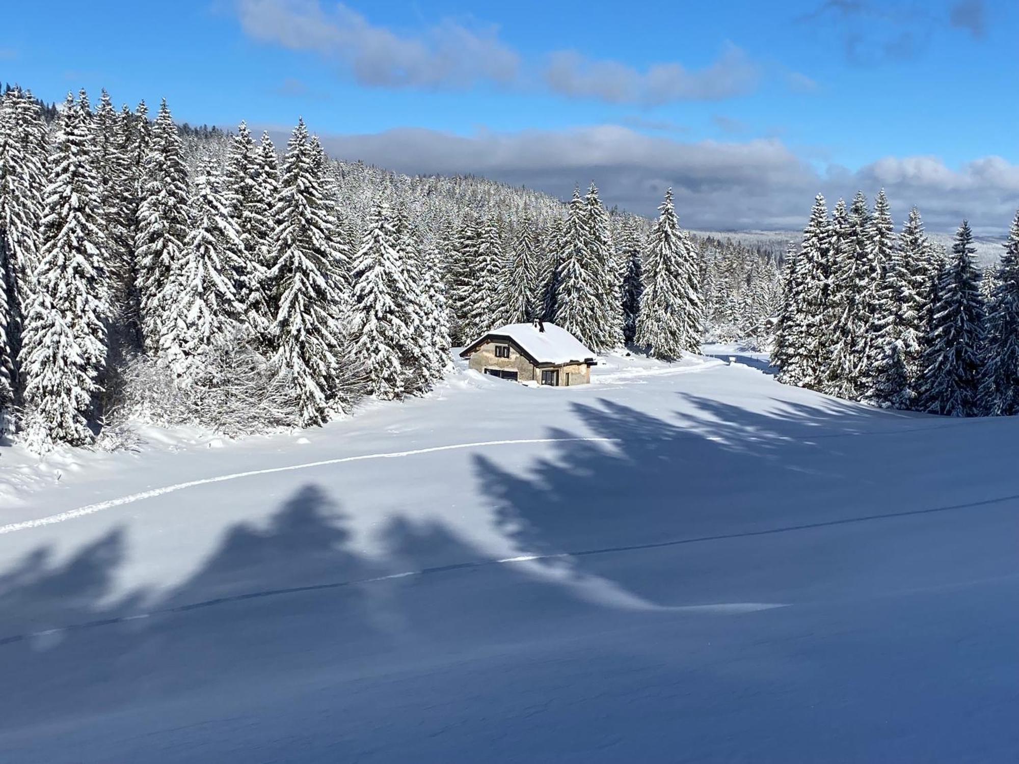 La Loge De La Dolarde - Chambre Nord-Est Otel Prémanon Dış mekan fotoğraf